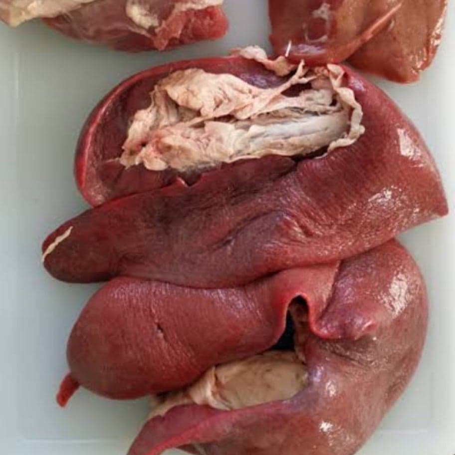 Spleen, Kidney, Heart & Liver