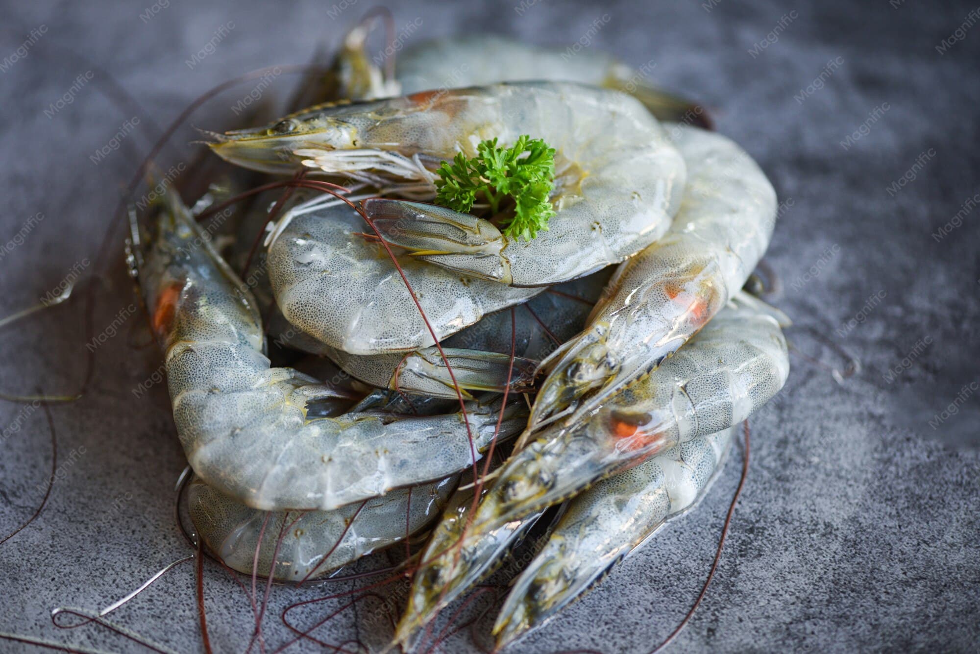 Coral Prawns