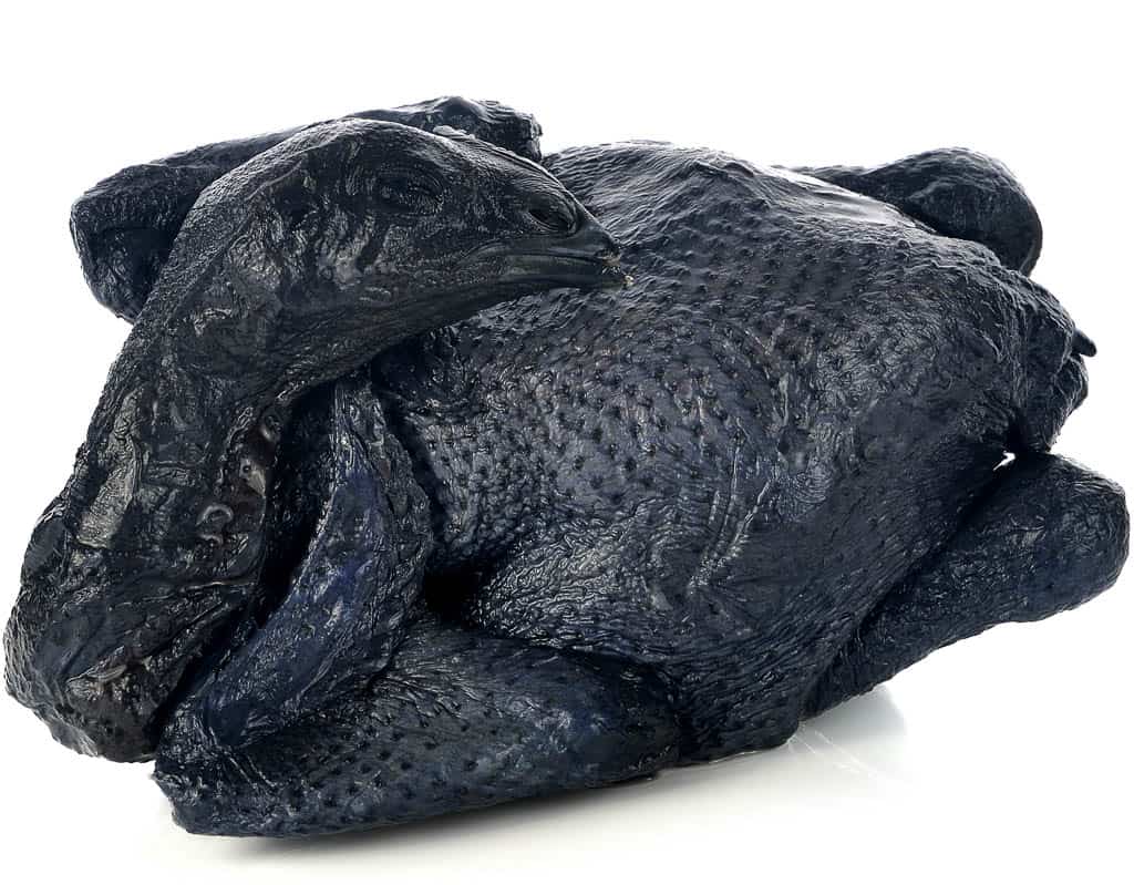 Gà Ác — Silkie Black Chicken