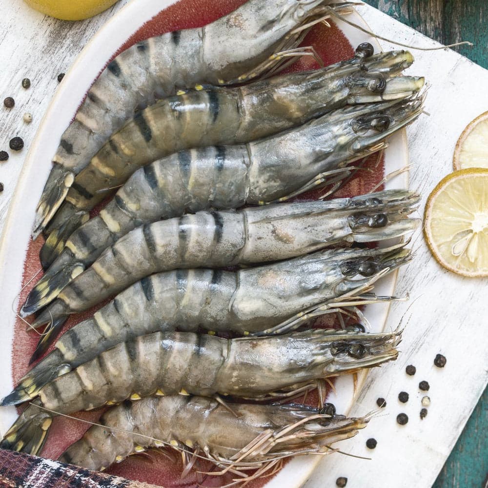 Tiger Prawns — Medium